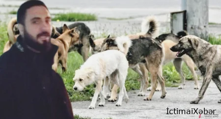 Sahibsiz itlərlə insanlar qarşı-qarşıya.Xırdalan şəhərinin mərkəzində qorxulu mənzərə.